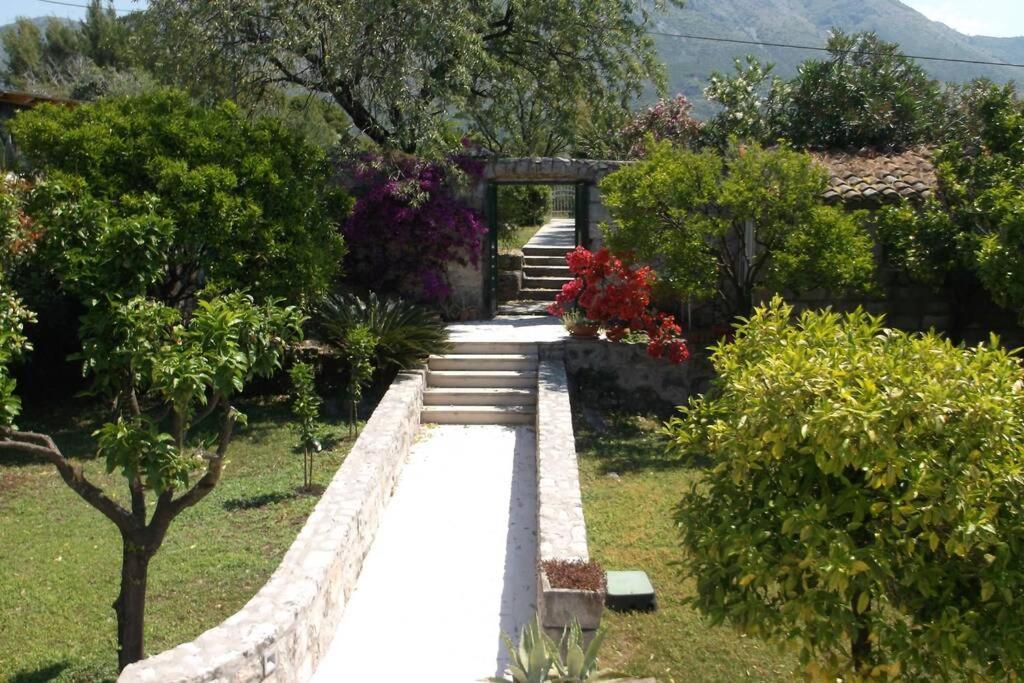 Charming Apartment For 3 Pax In Cavtat Esterno foto