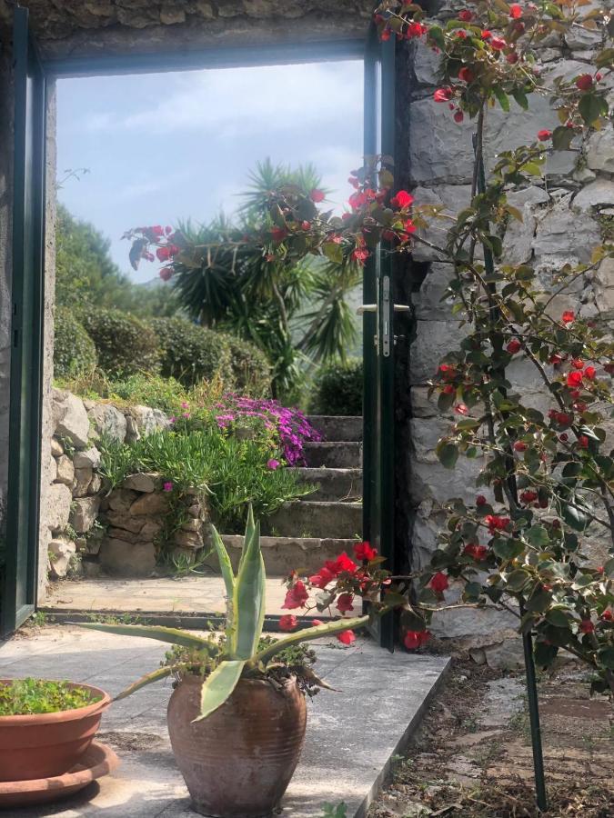 Charming Apartment For 3 Pax In Cavtat Esterno foto